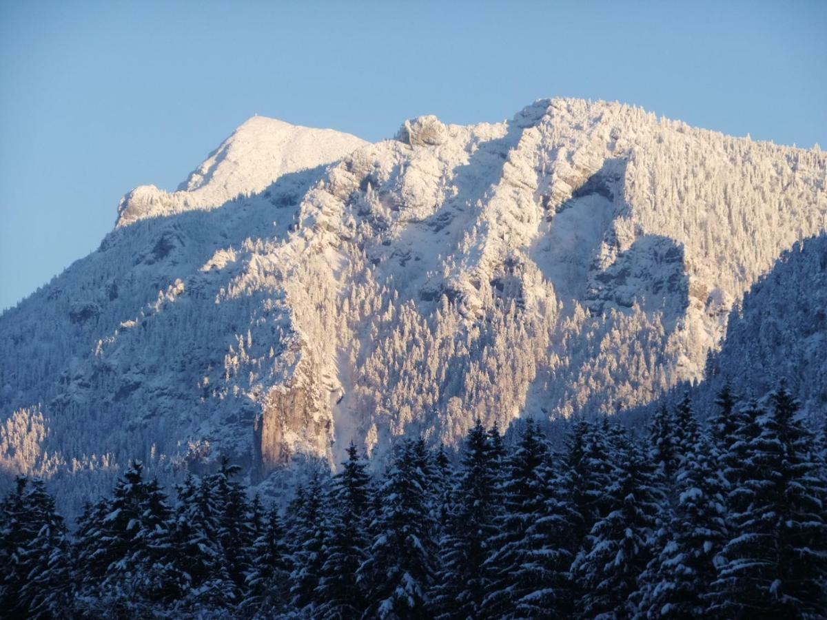 Ferienwohnung Haus Bergschmied Inzell Exterior foto